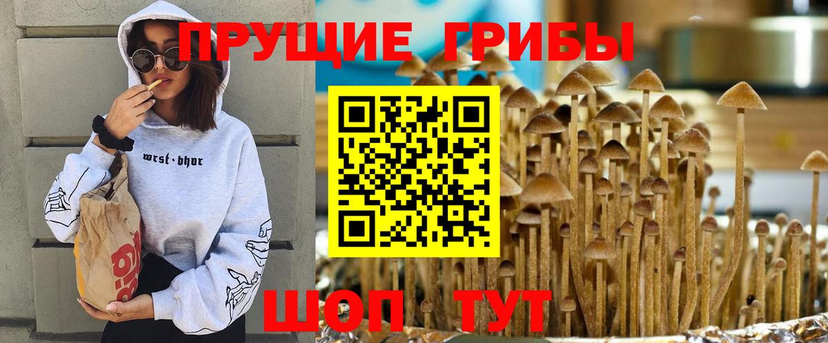 Псилоцибиновые грибы мухоморы  цена наркотик  Вход с VPN  Екатеринбург  Галлюциногенные грибы Cubensis 